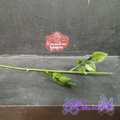 Стебель для розы 44 см 2 листа, неармированный
