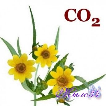 Экстракт Череды CO2, 5 гр