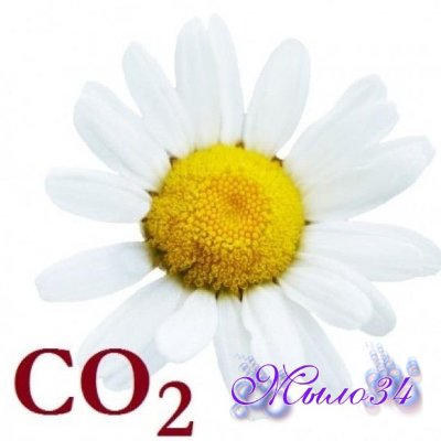 Экстракт Ромашки CO2, 5 гр