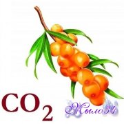 Экстракт Облепихи CO2 (косточка), 5 гр