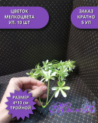Цветок мелкоцвета уп. 10 шт